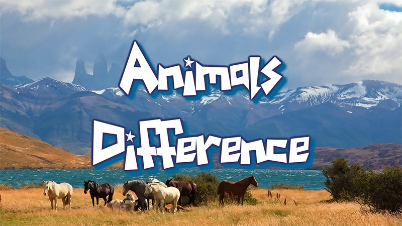 Image Animal Differences